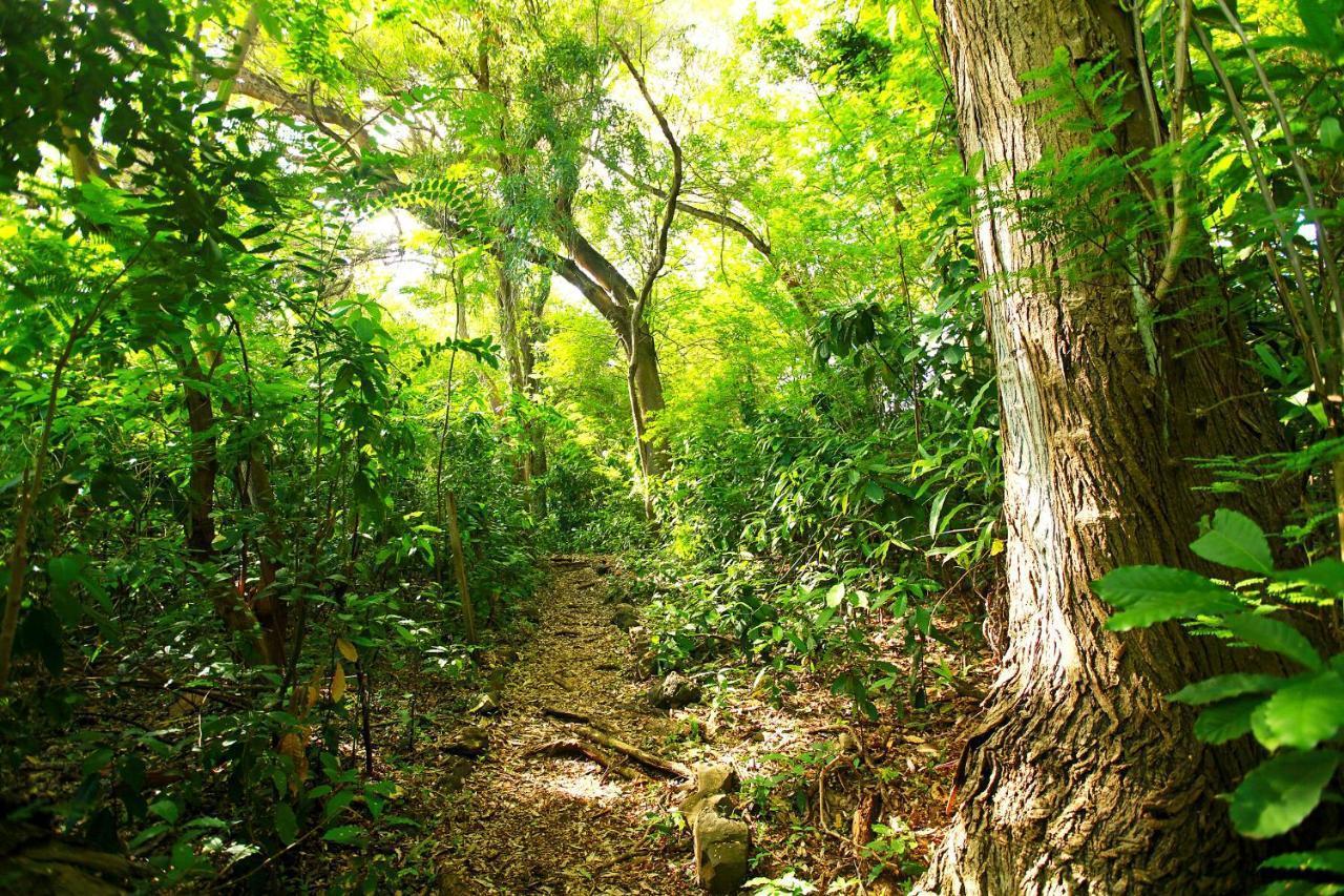 Pousada Do Vale Fernando de Noronha Kültér fotó