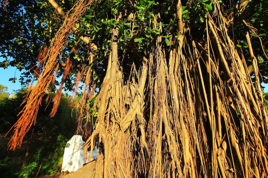 Pousada Do Vale Fernando de Noronha Kültér fotó
